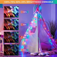 33ft 100 LED Color Changing String Lights Plug in, Warm White & Multicolor Ch…