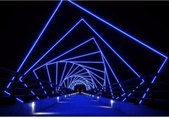 Black Surface Silicone LED Neon Strip Lights 10*10mm 12V / 24V Dotless Light