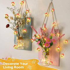 Mushroom Lights Room Cottagecore Decor: Gifts for Teen Girls Boys Kids, 10FT 30L