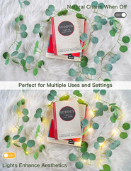 Fake Vines with Lights Battery Operated, 20 LED 6.56FT Eucalyptus Garland Fairy