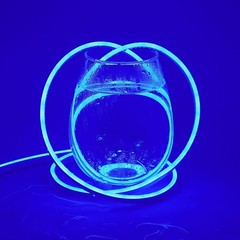 Blue 110V Outdoor Neon Light Strip Christmas Roof Line Light Waterproof Flexible