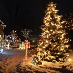 66FT 200 LED Christmas Mini Lights End 66FT 200LED Warm White Glass Green Wire