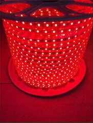 16-328FT 110V 5050 LED Strip Light Outdoor Tube Waterproof LED Rope US Plug Kit
