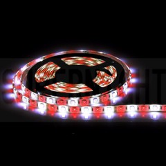 5M RGBW+Cool White Led Strip Light with Remote for Home Garden Party Decoration