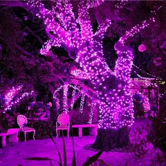 Outdoor Solar String Light 300/200/100/50 LED Fairy Garland 8 Mode Garden Yard T