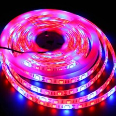 16.4FT LED Plant Grow Strip Light 12V 5050 300LED Full Spectrum Red&Blue 3/4/5:1