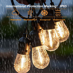 S14 Led Bulbs for Outdoor String Lights,Shatterproof Waterproof Clear Plastic Ca