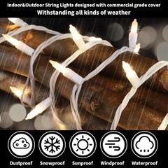 LAMPHOME 100 Count White Frost Christmas Lights,Mini Clear Lights 21ft White …