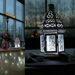 20 Pack 6.6ft 20 LEDs Battery Operated Mini LED Copper Wire String Fairy Lights