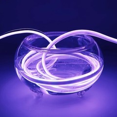 12V 24V 220V Double-side RGB LED Neon Rope Strip Waterproof Commercial DIY Light