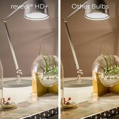Brand New GE Lighting Reveal HD+ 60W Dimmable LED Light Bulbs, 2-Bulbs, Clear!