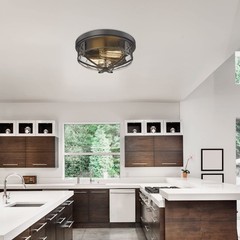 Darkaway Flush Mount Ceiling Light Clear Glass Shade Indoor Outdoor 2-Light