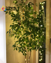 Lighting EVER Plug in Fairy Lights with Switch 66 ft, Warm White 2700-3000K