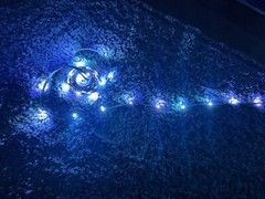 Led Lights 50ft Roll App Controlled