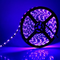 RGB Black PCB LED Strip Light 5050SMD Waterproof Rope Tape Light with Remote 12V