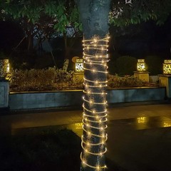 Solar Rope Lights 33FT 100LED Outdoor Solar String Lights IP65 Waterproof