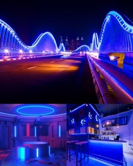 Blue 110V Outdoor Neon Light Strip Christmas Roof Line Light Waterproof Flexible