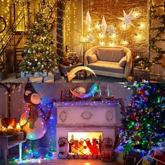33ft 100 LED Color Changing String Lights Plug in, Warm White & Multicolor Ch…