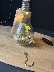 Faux Succulent LED Light Up Light Bulb Home Decor Cheerful *NEW*