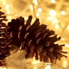 21ft White Wire Clear Mini Christmas String Lights 100 Count Clear Christmas
