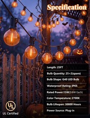 Xingzd 25 LED Outdoor String Lights, 25Ft Halloween Decoration Lights