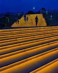 Waterproof COB LED Light Strip 24V 320LEDs/m IP68 Indoor Outdoor Building Decor