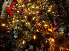 Outdoor String Lights Christmas Lights Battery Operated String Lights 50 Led USA