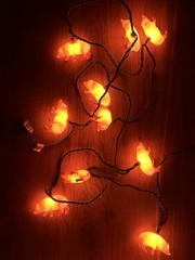 Pig Shaped Orange Animal String Lights, Wall Plug-In, 10 Lights, Plastic