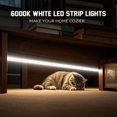 Super Bright Daylight White 2835 SMD 300 Led Light Strip IP67 waterproof 5M