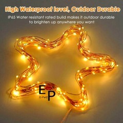 50-100 LEDs Battery Operated Mini LED Copper Wire String Fairy Lights W/ Remote