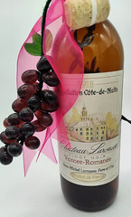 Light Up BROWN Glass Wine Bottle And Glass Grapes Electric String Lights