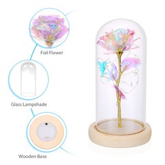 Rose Flowers Valentine’s Day Gifts for Women,Glass Dome Rose for Mom Wife