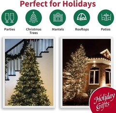 LAMPHOME 100 Count White Frost Christmas Lights,Mini Clear Lights 21ft White …