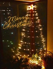 100 LED Fairy Lights Plug in String Light Outdoor 8 Mode Christmas Party Wedding
