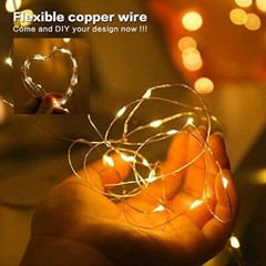 50-100 leds String Lights LED Fairy Lights Battery Operated Copper Lights Remote