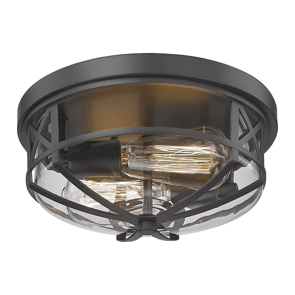 Darkaway Flush Mount Ceiling Light Clear Glass Shade Indoor Outdoor 2-Light