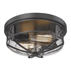 Darkaway Flush Mount Ceiling Light Clear Glass Shade Indoor Outdoor 2-Light