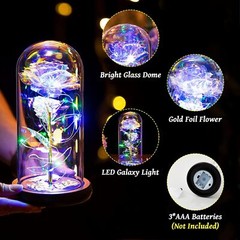 Eternal Forever Galaxy Rose Flower In Glass Dome LED Light Valentine’s Day Gift