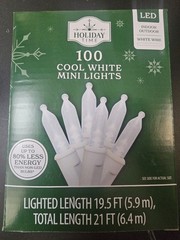 Holiday Time 100-Ct Cool White LED Mini Fairy Lights. NEW