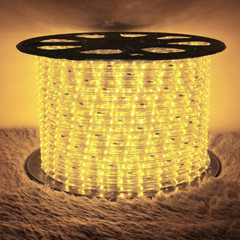 50′ 100′ 150′ 300′ Ft Waterproof LED Rope Light 110V Garden In/Outdoor Lighting
