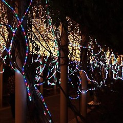 Solar 50-300LED Powered Fairy String Rope Strip Lights Outdoor Garden Patio