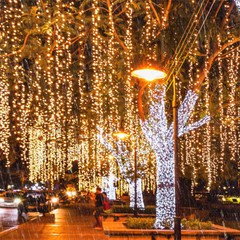 6PCS 20 LEDs Copper Wire String Fairy Lights Battery Operated Mini LED 6.6ft