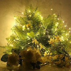 20/50/100 Battery Operated Copper Wire LED Fairy String Lights Christmas Wedding