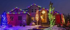 Assorted Sizes Multi-RGB LED Rope Lighting Thick Indoor Outdoor Christmas Tree