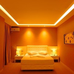 US 110V LED Neon Lights Orange Holiday Decor Flexible Waterproof LED Light Strip
