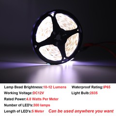 LED Camper Motorhome RV Lights – 16 feet of LED Awning Lights (300 LED’s)