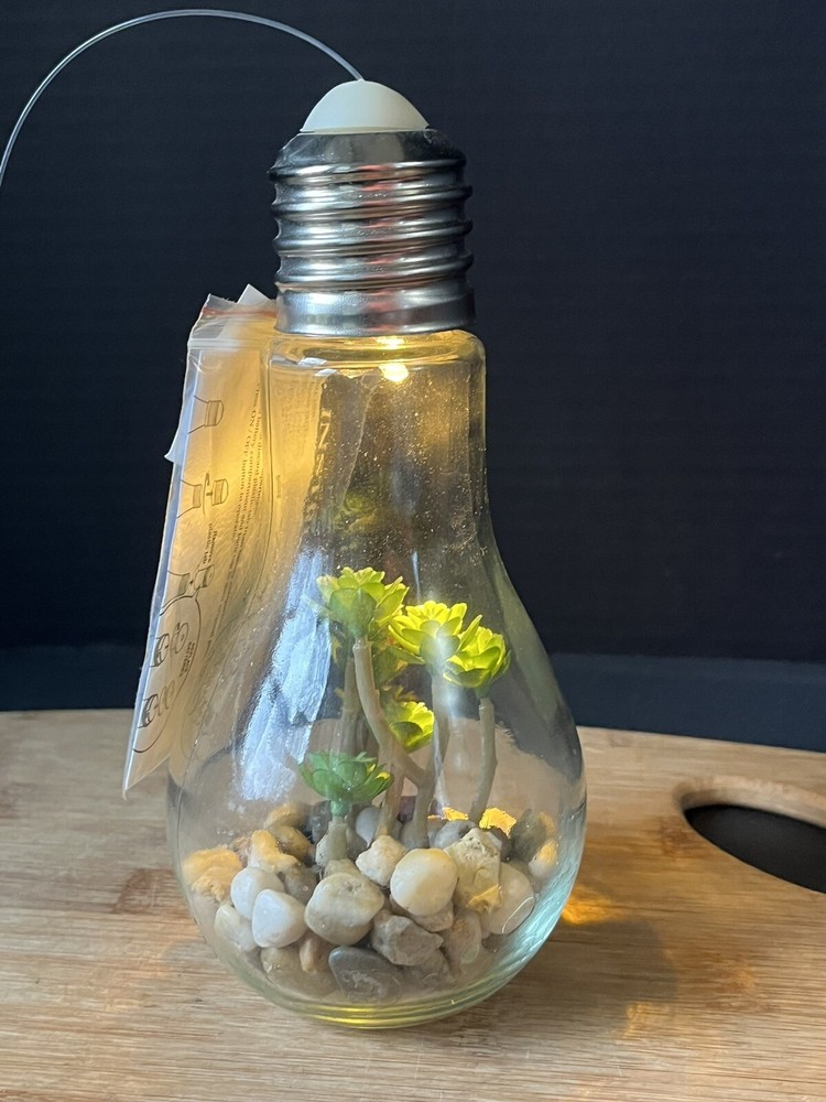Faux Succulent LED Light Up Light Bulb Home Decor Cheerful *NEW*