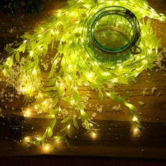 2M 20LED Willow Curtain String Lights Battery Copper Wire Home Decoration