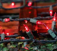 Red Valentines Day Decor Lights,100 Count 19.6FT Mini Valentine’s Lights,Red …