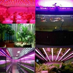 16.4FT LED Plant Grow Strip Light 12V 5050 300LED Full Spectrum Red&Blue 3/4/5:1